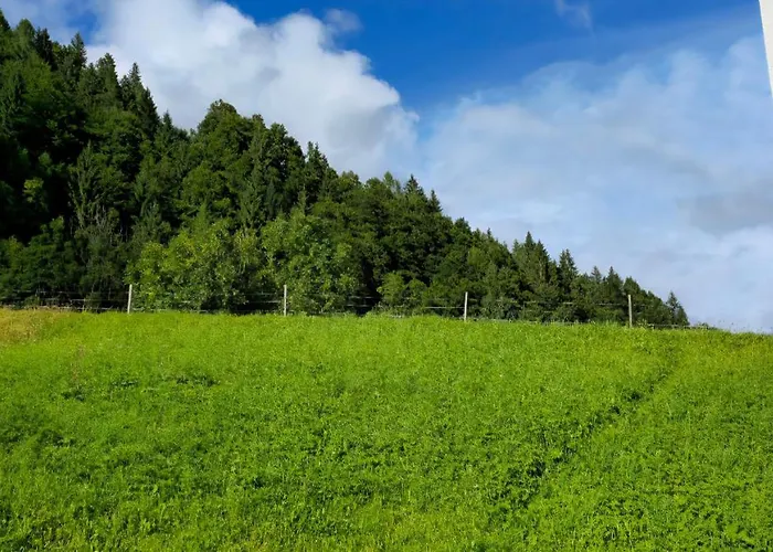 Rifugio Di Niki * Falcade