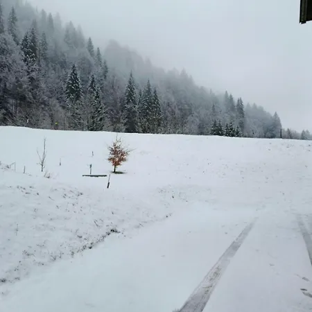 アパート Rifugio Di Niki *