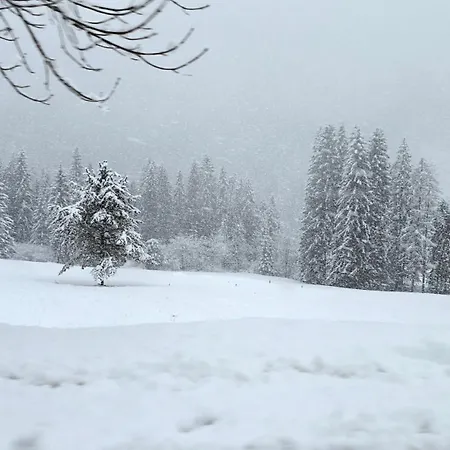 Rifugio Di Niki アパート