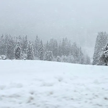Rifugio Di Niki アパート